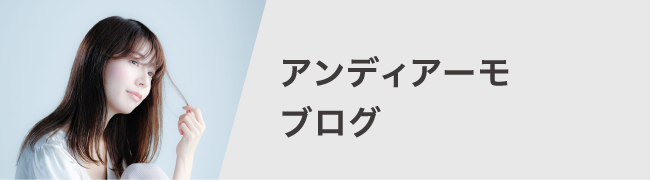 アンディアーモブログ