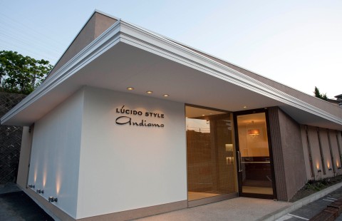 Lucido Style